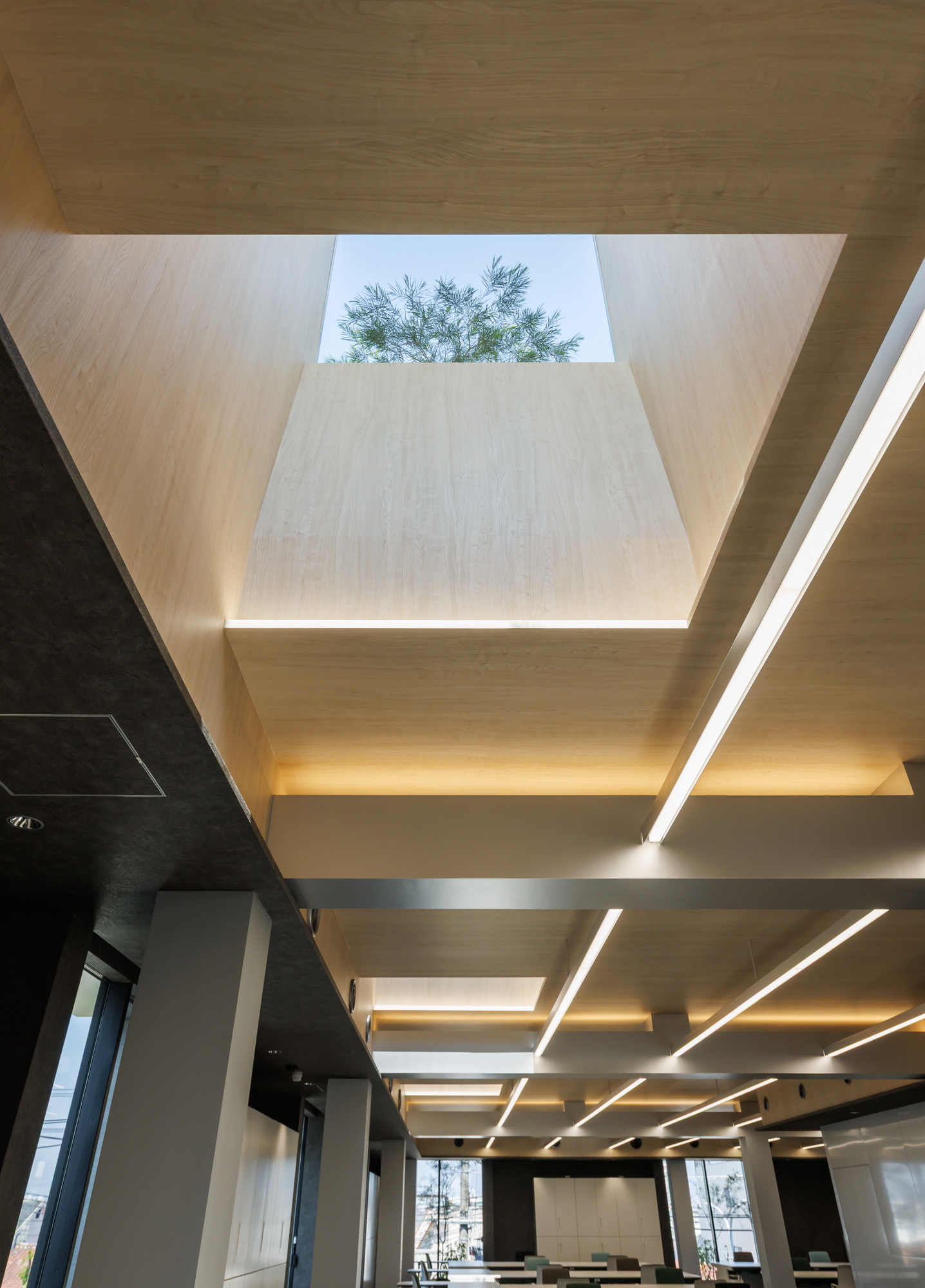 HD神戸ビル｜平岡建築デザイン｜オフィス設計｜大阪｜オフィスデザイン｜建築家｜おしゃれ｜設計｜神戸｜吹抜け｜屋上緑化｜木質空間｜