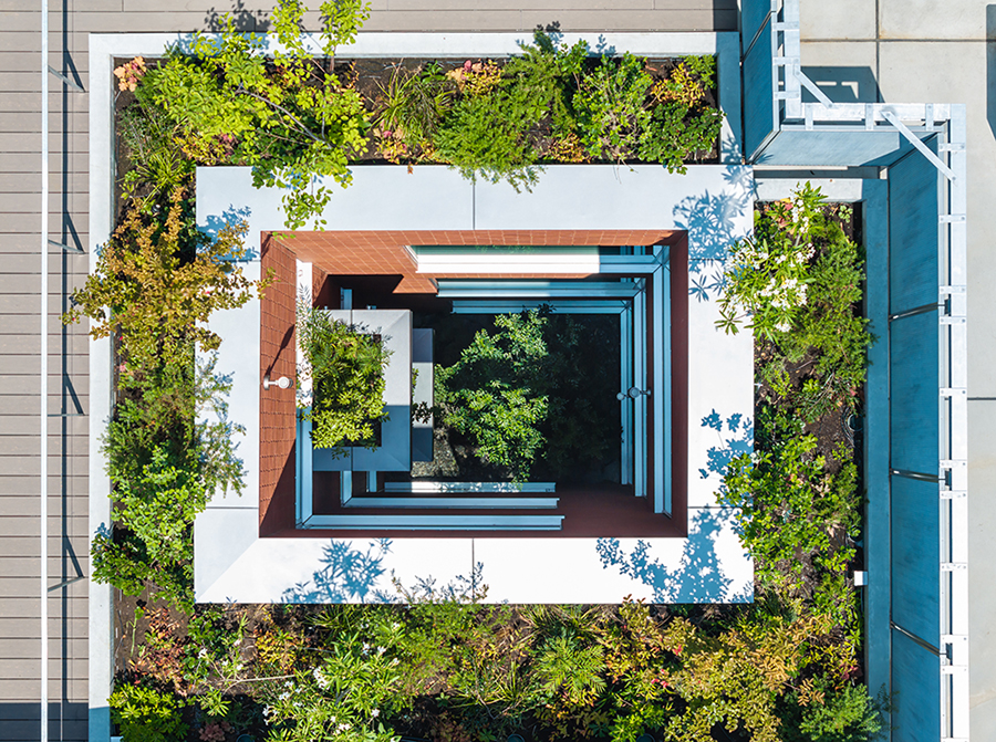 HD神戸ビル｜平岡建築デザイン｜オフィス設計｜大阪｜オフィスデザイン｜建築家｜かっこいい｜設計｜神戸｜鉄骨造｜屋上緑化｜新しいオフィスデザイン｜かっこいい｜サステナブル建築｜屋上緑化｜